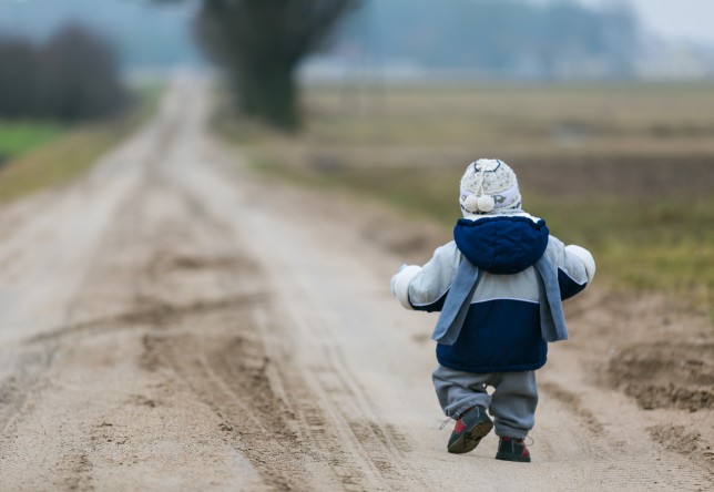 toddler child walking by rural sandy road in early springtime
